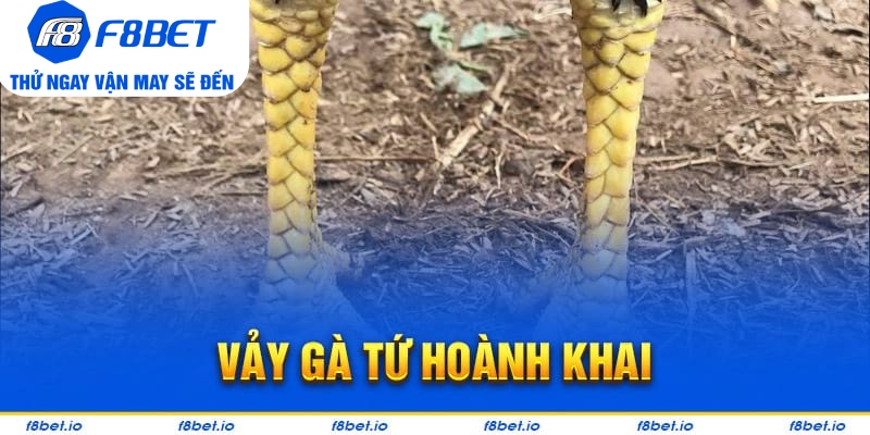 Vảy Gà Tứ Hoành Khai