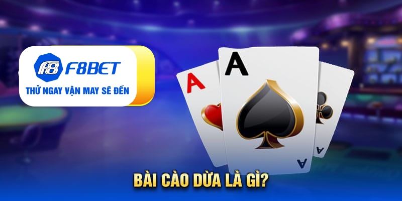 BÀI CÀO DỪA LÀ GÌ