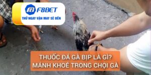 Thuốc đá gà bịp là gì
