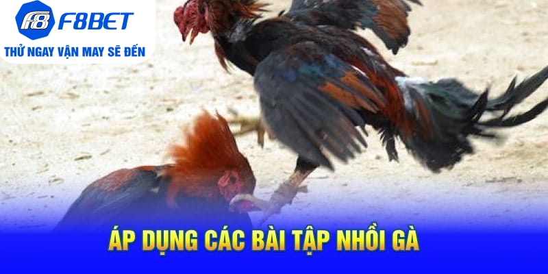 Áp Dụng Các Bài Tập Nhồi Gà