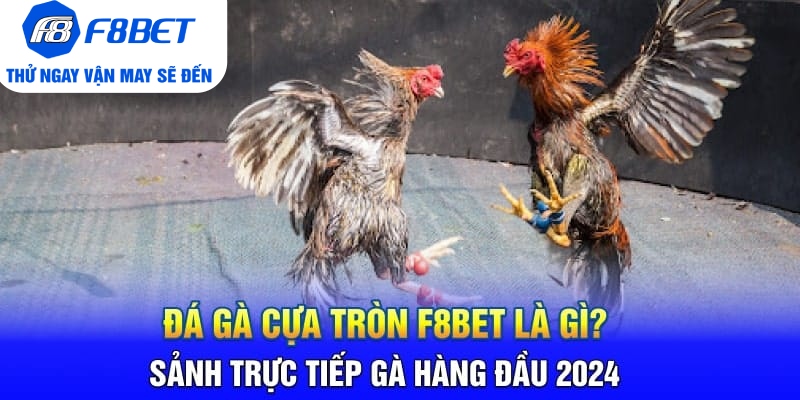 đá gà cựa tròn