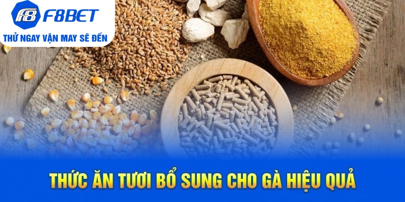 Thức Ăn Tươi Bổ Sung Cho Gà Hiệu Quả