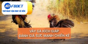 vảy gà kích giáp